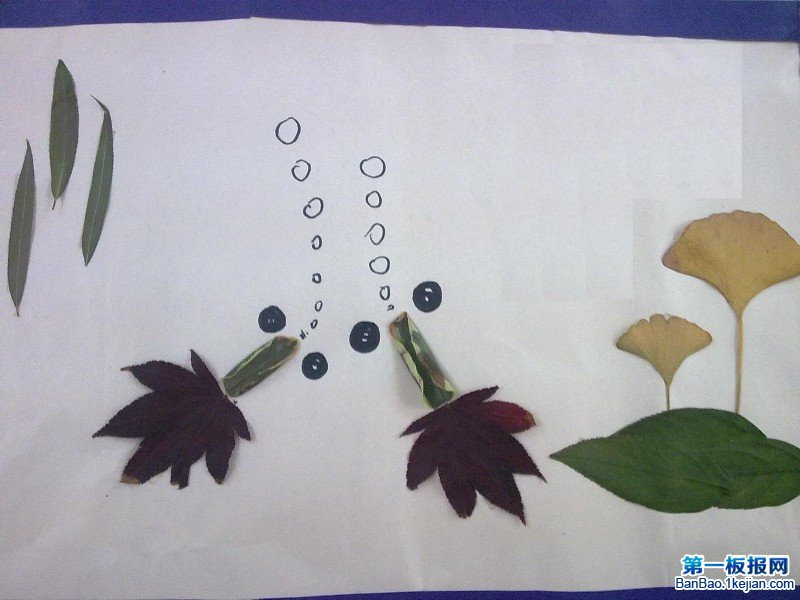 秋天的手抄报 秋天的树叶贴画