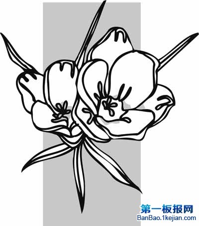 flower-coloring-pages-11.jpg
