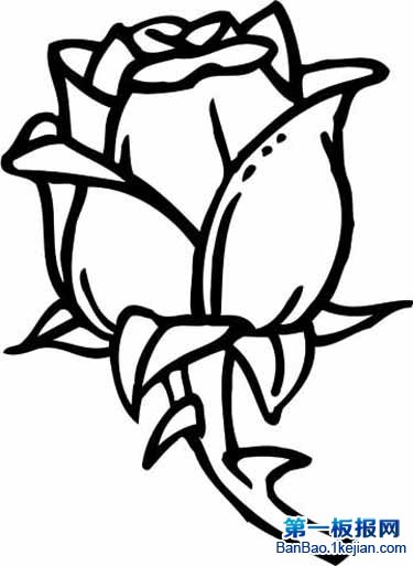 rose-coloring-pages-11.jpg