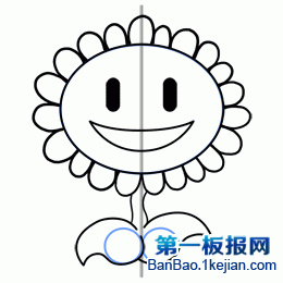 Drawing the stem of the sunflower