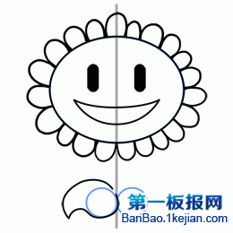 Drawing the leaves of the sunflower