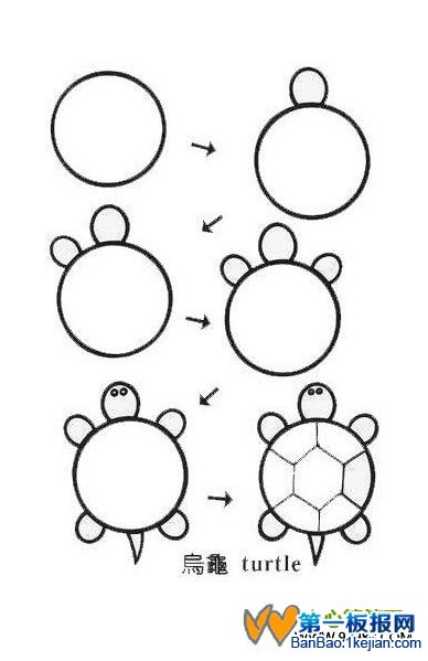 乌龟简笔画教程