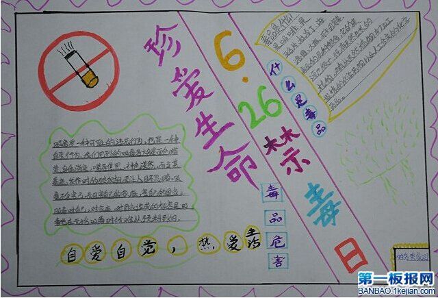禁毒手抄报-2.jpg