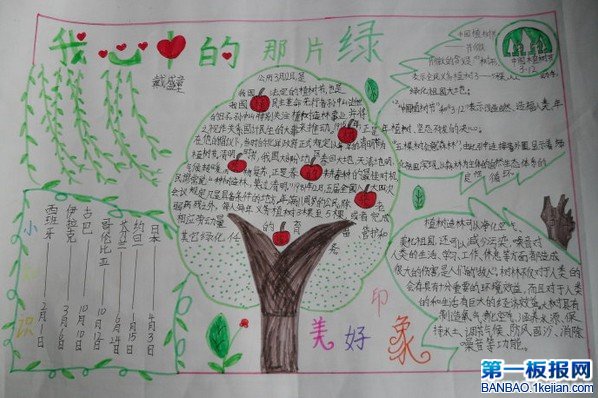 3.12植树节手抄报-我心中的那片绿