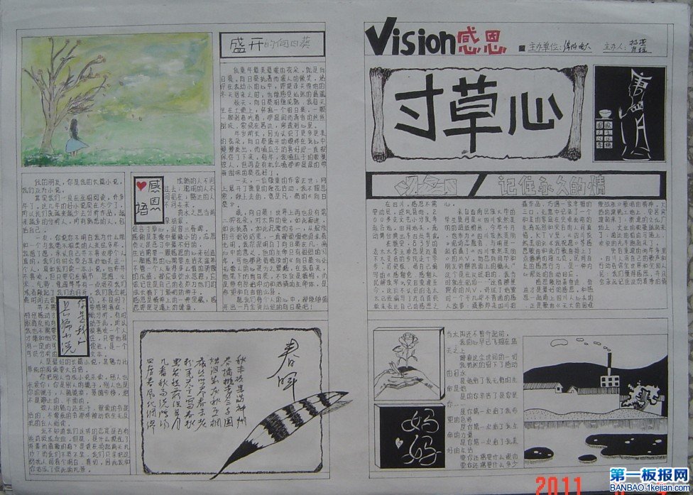 感恩手抄报-谁言寸草心