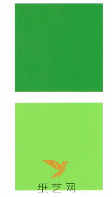 这里我们用的是正面是深绿色背面是浅绿色的正方形纸张