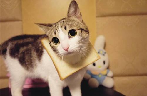 性格太好强容易患高血压?