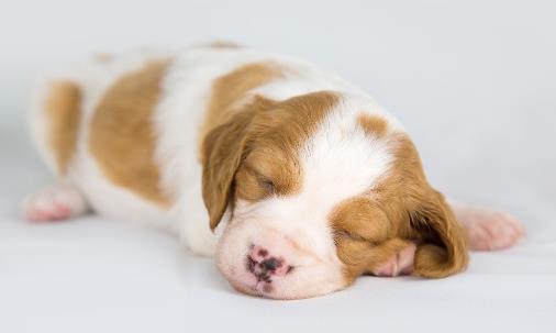 枕头的高低影响健康!