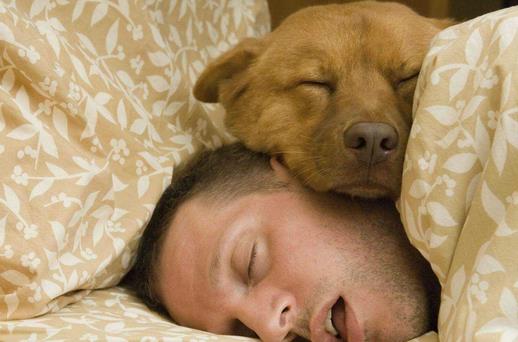 做噩梦小心患这些疾病!