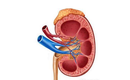 肾炎的早期症状有哪些