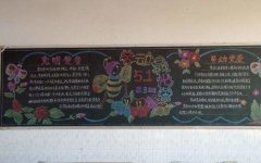 Ͷ٣͵С۷䣬СѧһͶںڰ屨