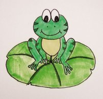 简单的青蛙怎么画，可爱的